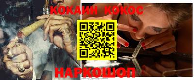 бошки Кингисепп