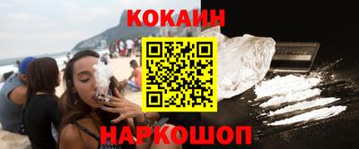 бошки Кингисепп