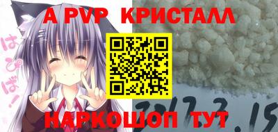 бошки Кингисепп