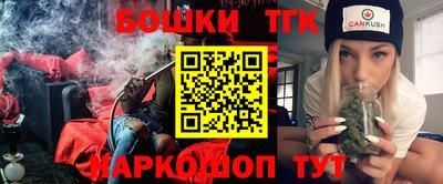 бошки Кингисепп