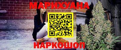 бошки Кингисепп