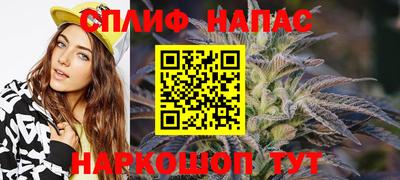 бошки Кингисепп
