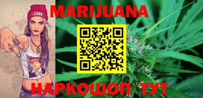 бошки Кингисепп