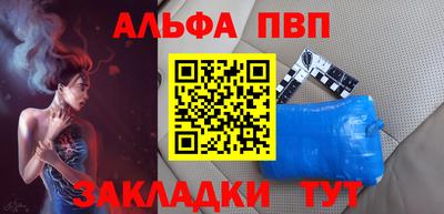 бошки Кингисепп