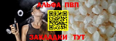 бошки Кингисепп