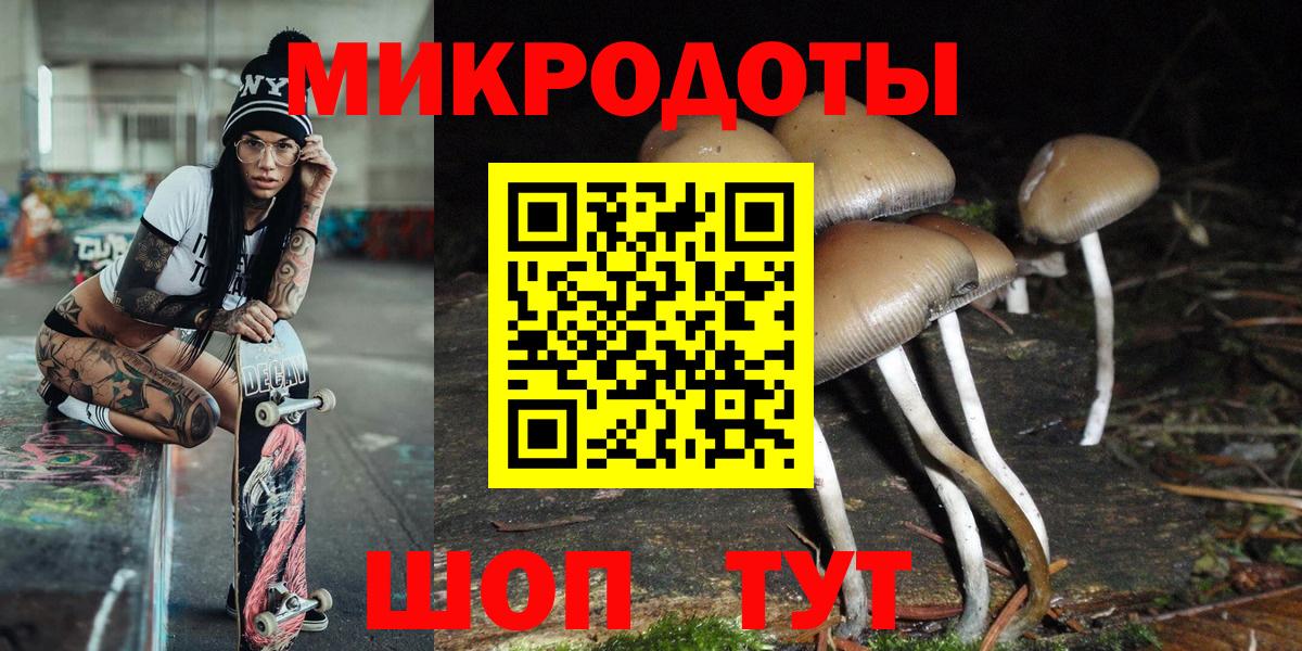 Балашов  сколько стоит  Вход с VPN  Псилоцибиновые грибы GOLDEN TEACHER 