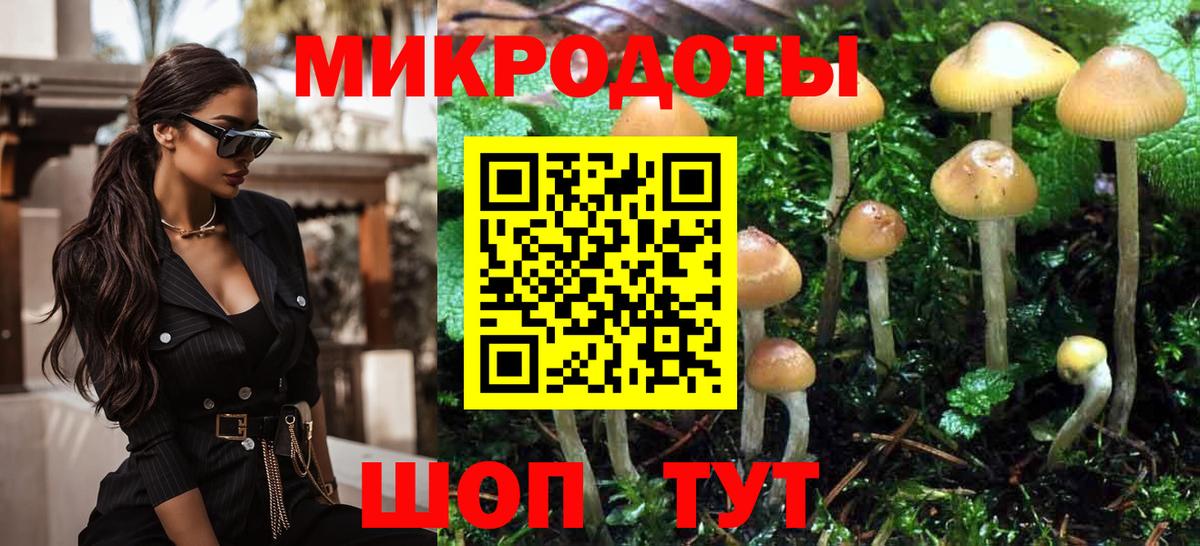 Псилоцибиновые грибы мицелий Балашов